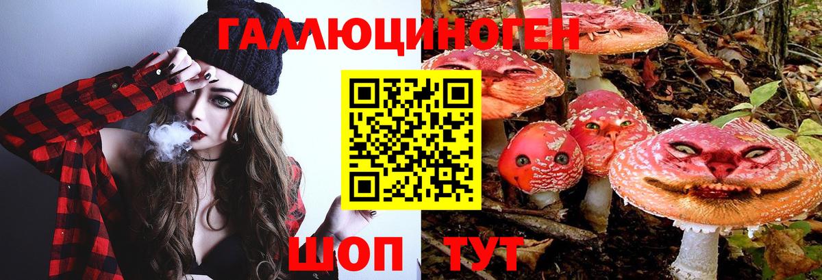 Псилоцибиновые грибы мицелий  Вход с VPN  Зеленокумск 